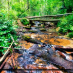 Creek at Cascades Falls North Carolina Blue Ridge Parkway