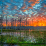 Palm Beach Gardens Sunset at Slough