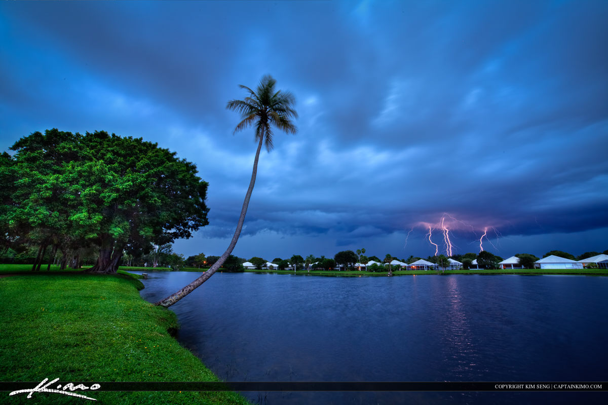 Palm Beach County Lightning Storm Over Lake and Coconut Tree Royal