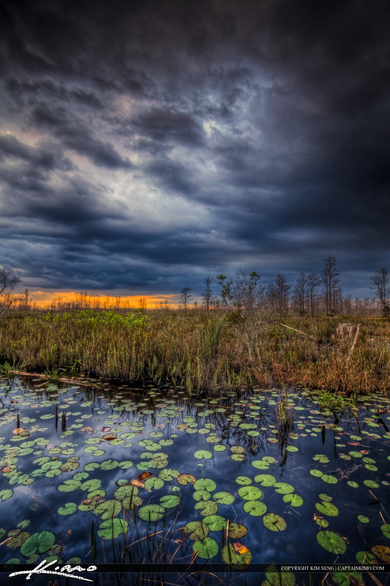 Storm Brewing Over Loxahatchee Slough Wetlands Palm Beach County