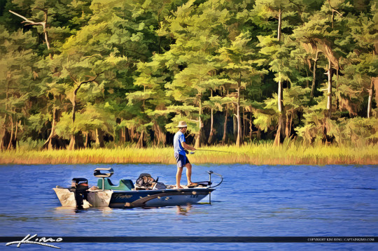 Fisherman Fishing Blue Cypress Lake Florida Bass Boat - Royal Stock Photo