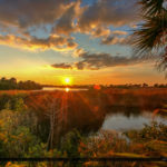 Wetlands Mosquito Lagoon Sunset Over Volusia County Florida