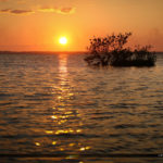 Fishing Spot Mosquito Lagoon Sunset Over Volusia County Florida