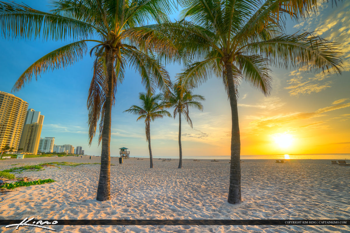 Riviera Beach City Park Sunirse Coconut Trees Royal Stock Photo