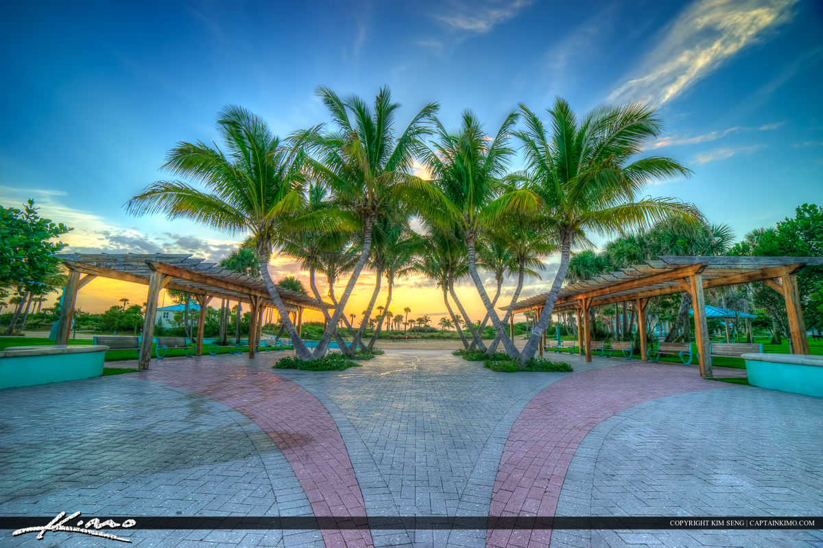 Coconut trees at Riviera Beach Florida Royal Stock Photo
