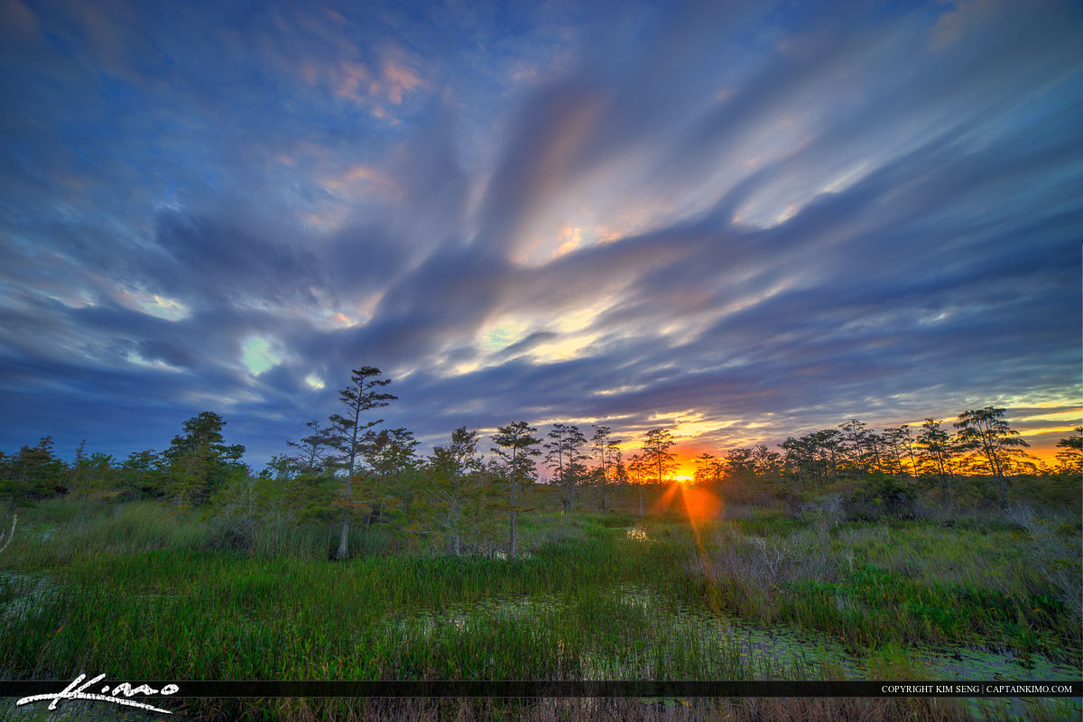 Wetlands Sunset Florida Flowing Clouds Royal Stock Photo