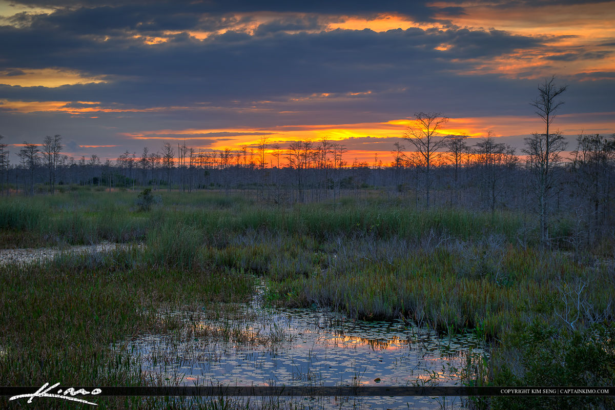 Florida Sunset Over Wetlands Marsh at the Slough Royal Stock Photo