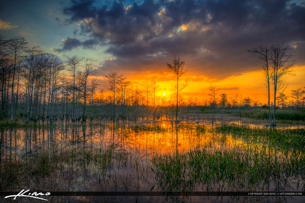 Sunset Over Loxahatchee Slough Wetlands Marsh