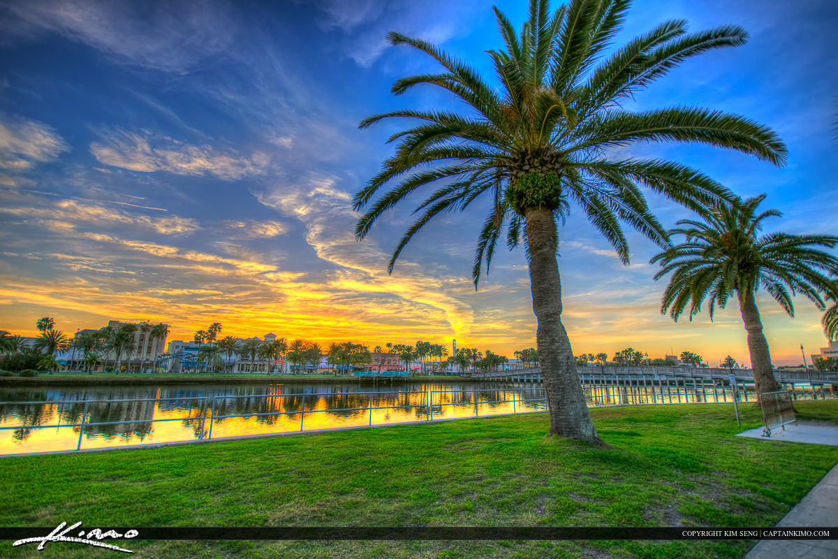 Daytona Beach Florida Palm Tree Library Royal Stock Photo