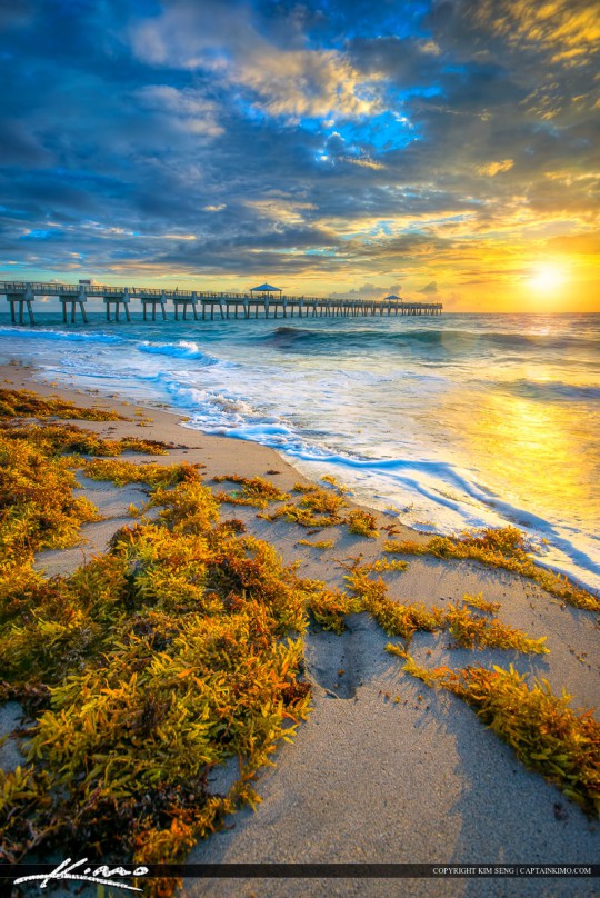 Juno Beach Sunrise Vertical Beach Photo Royal Stock Photo