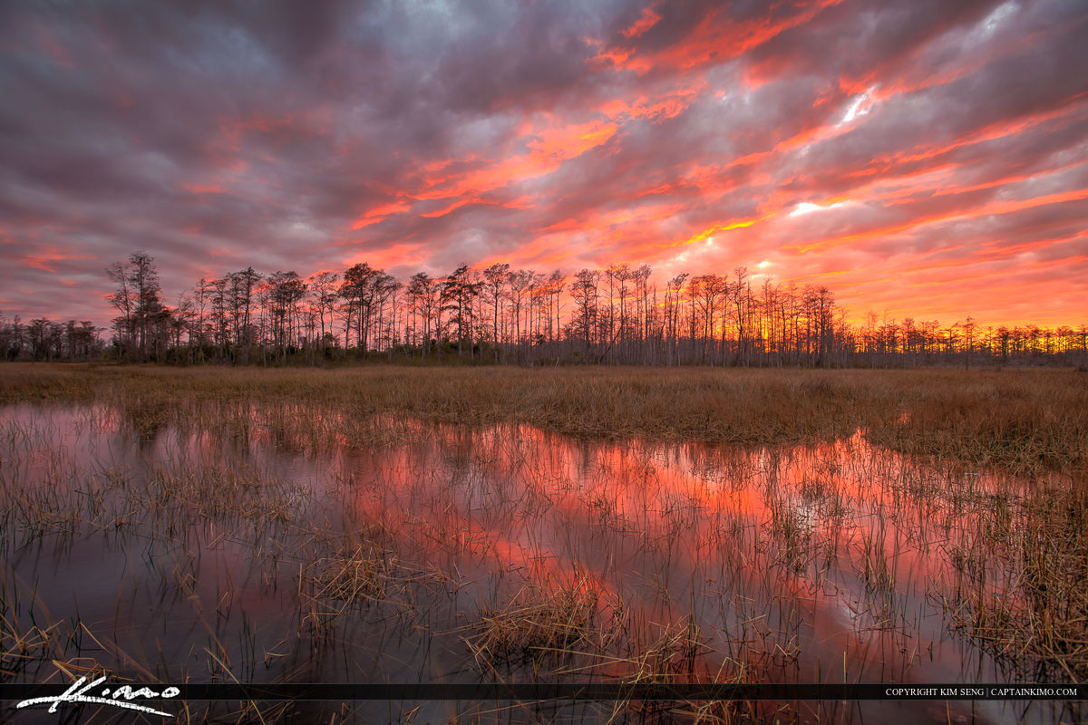 Florida Wetlands Landscape Sunset Colors Palm Beach Gardens Warm