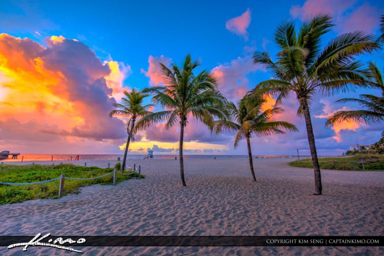 Pompano Beach Pier Coconut Trees at Beach Royal Stock Photo