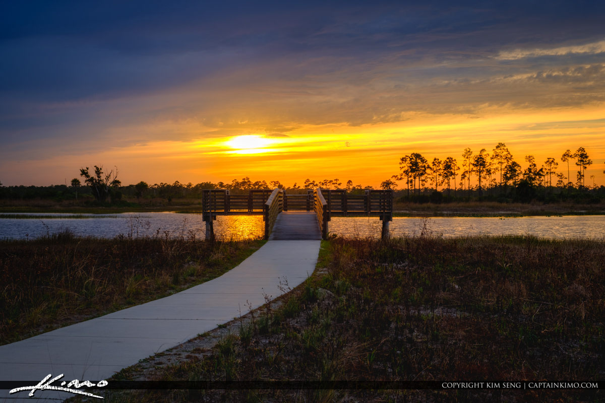 Pine Glades Natural Area Sunset Jupiter Florida Royal Stock Photo