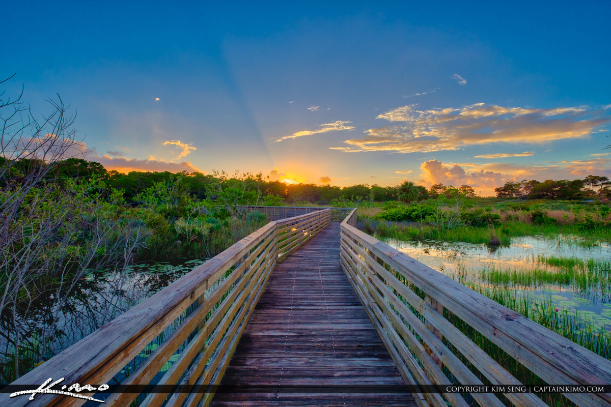 Jupiter Ridge Natural Area Boardwalk | Royal Stock Photo