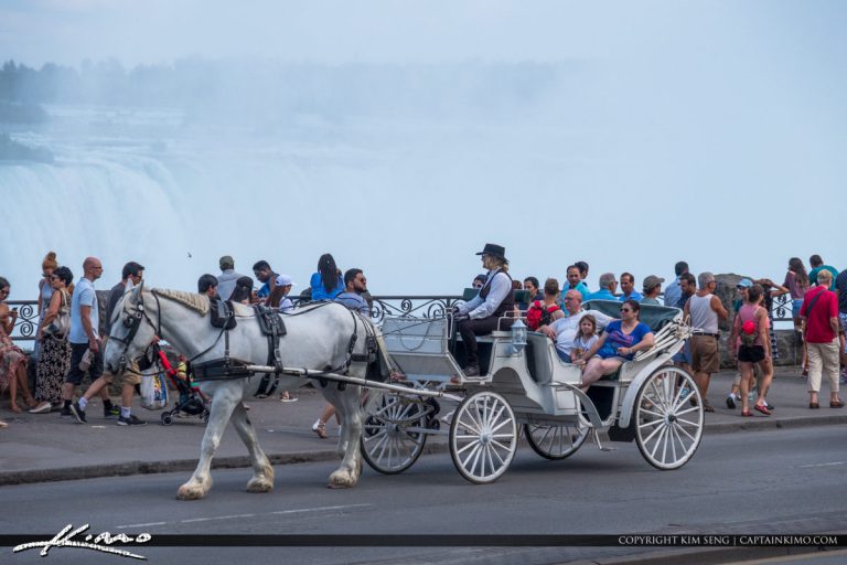 Niagara Falls ON Canada Horse Carriage at Park Royal Stock Photo