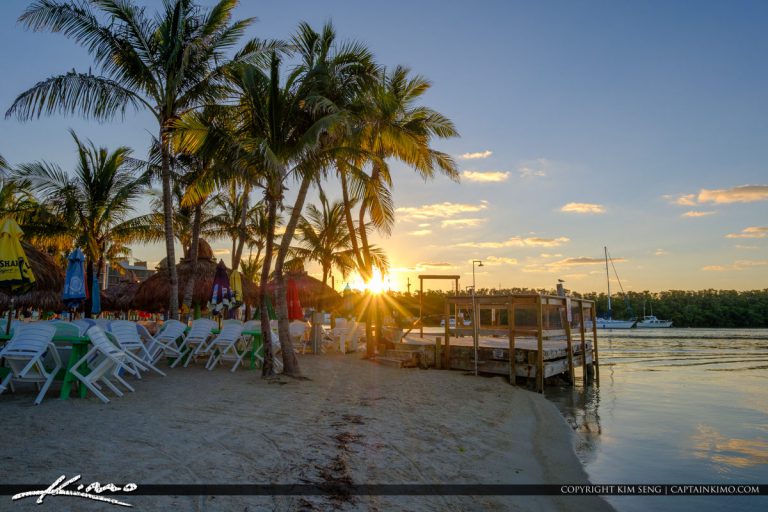 Coconut Tree Sunrise Gilberts Resort Key Largo Florida Keys Royal