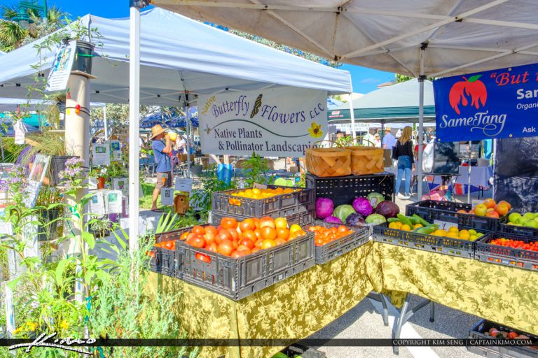 Green Market Vero Beach Florida Fruits and Vegetables Royal Stock Photo