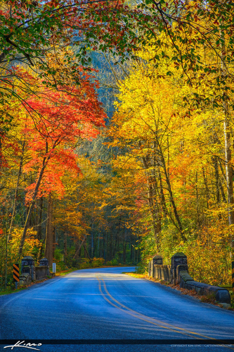 Fall Colors Blue Ridge Parkway Moore Cove Falls Trail Brevard No