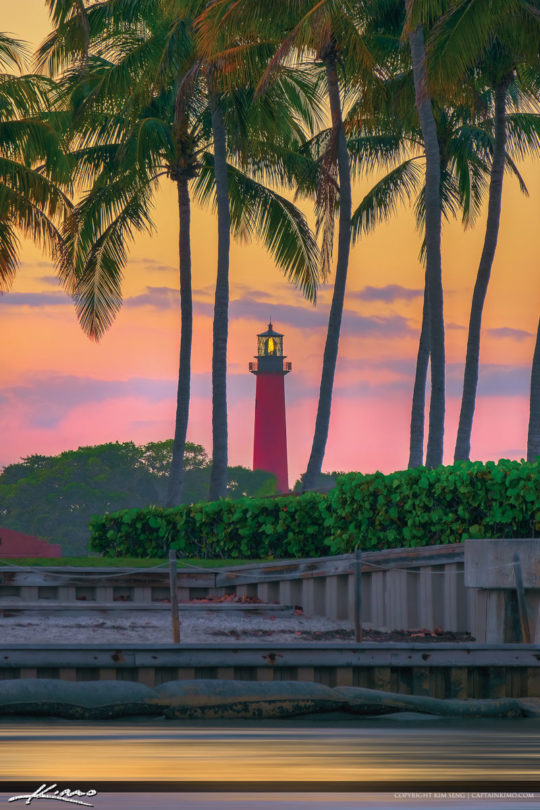 coconut-tree-jupiter-lighthouse-warm-light-royal-stock-photo