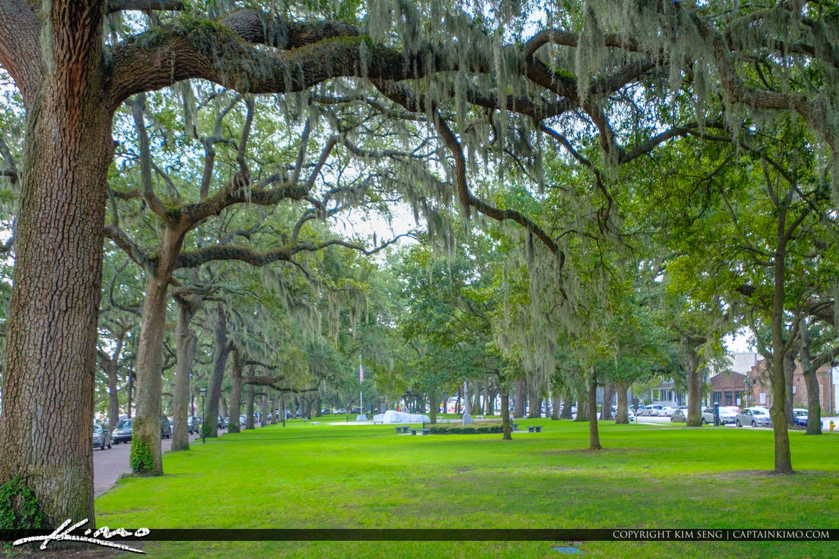 Oak Tree Spanish Moss Downtown Emmet Park Savannah Royal Stock Photo
