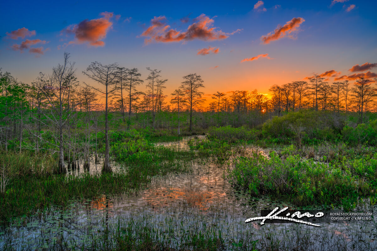 Loxahatchee Slough Sunset Earth Day 2020