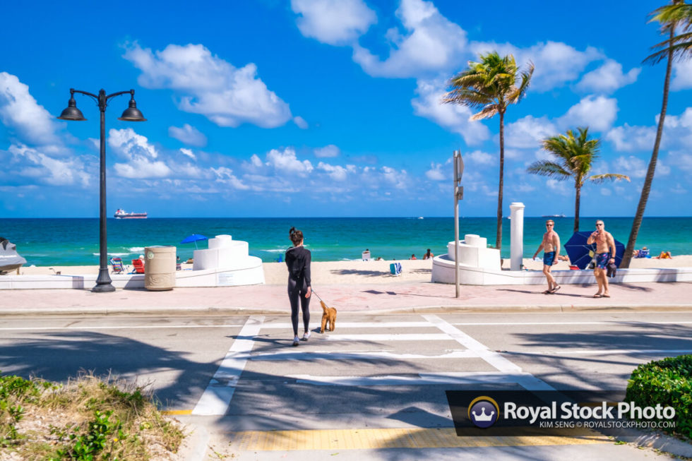Walking Dog at Beach Fort Lauderdale Royal Stock Photo