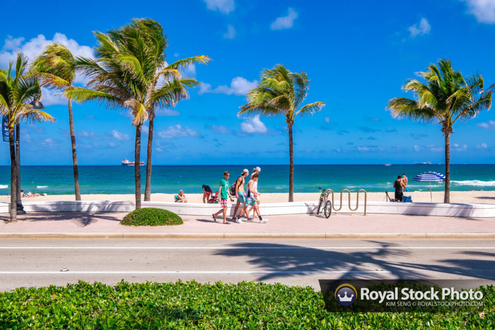Coconut Trees Sebastian Street Beach Fort Lauderdale Royal Stock Photo