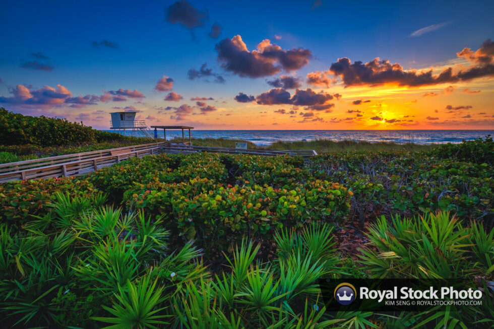Jensen Beach Royal Stock Photo