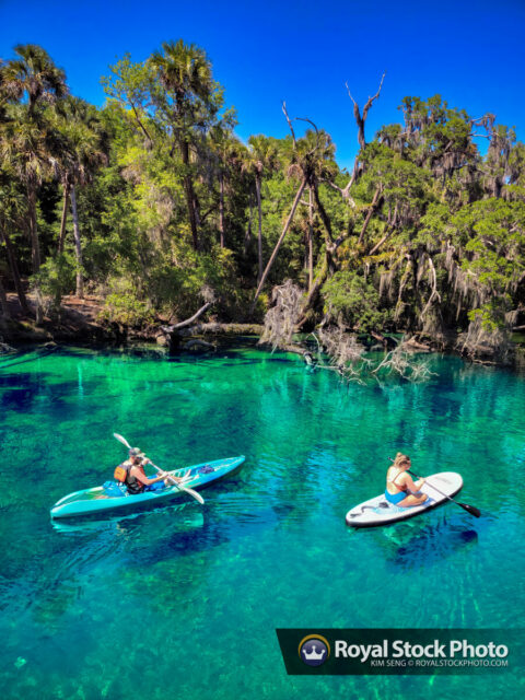 Kayaking Blue Springs State Park Orange City Florida | Royal Stock Photo