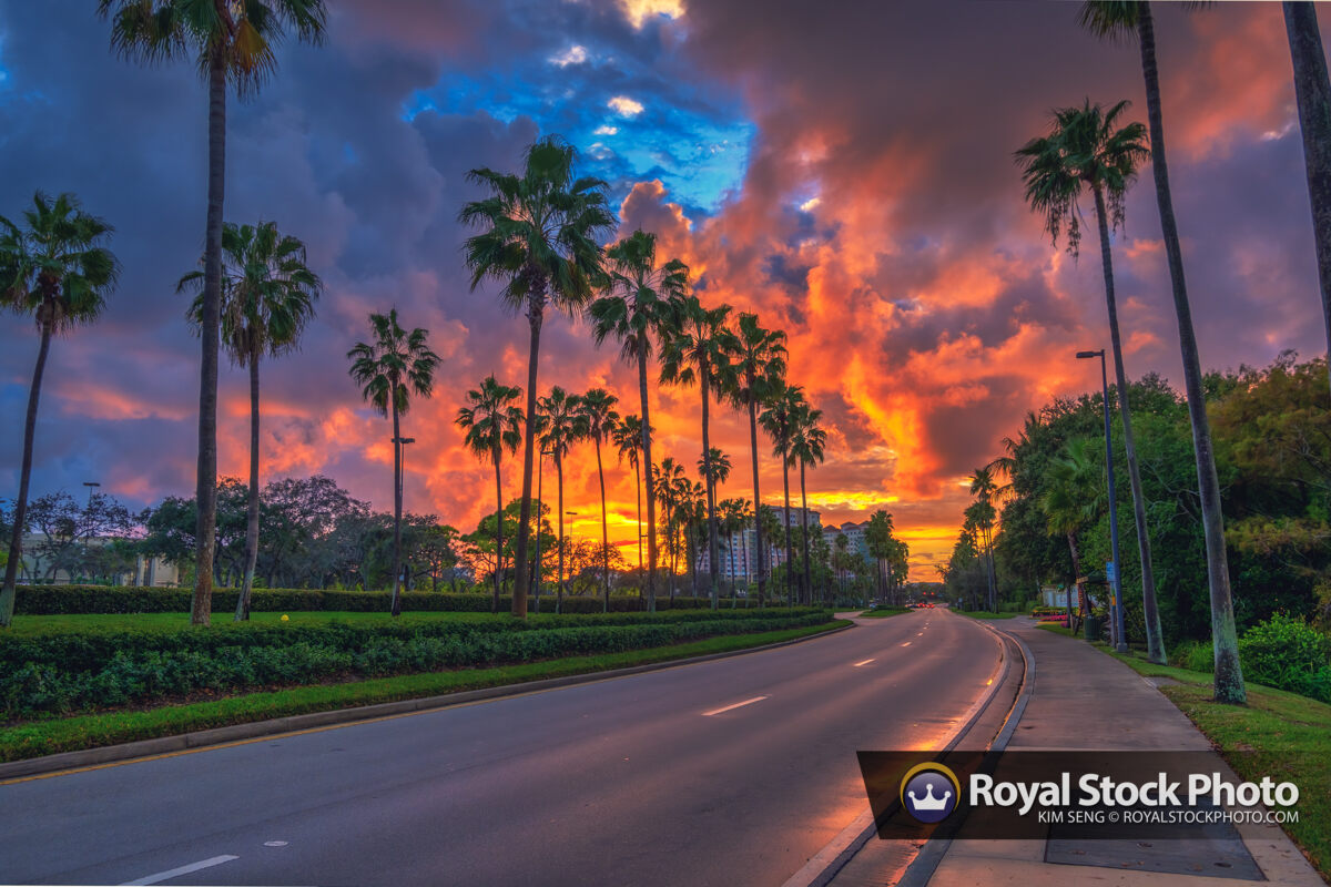 Gardens Parkway Sunset Palm Beach Gardens Royal Stock Photo