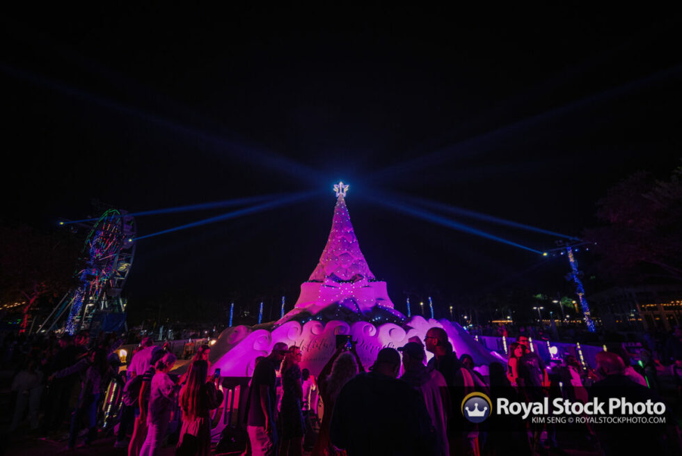 Sandi Christmas Tree 2022 Royal Stock Photo