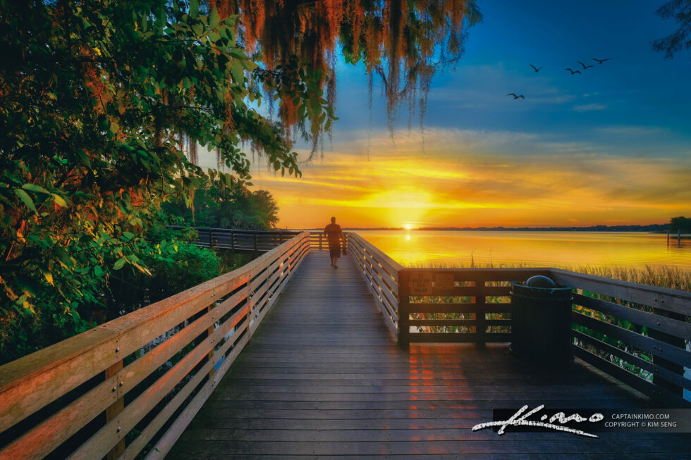 Heavenly Palm Island Boardwalk at Sunset Mount Dora Florida Royal