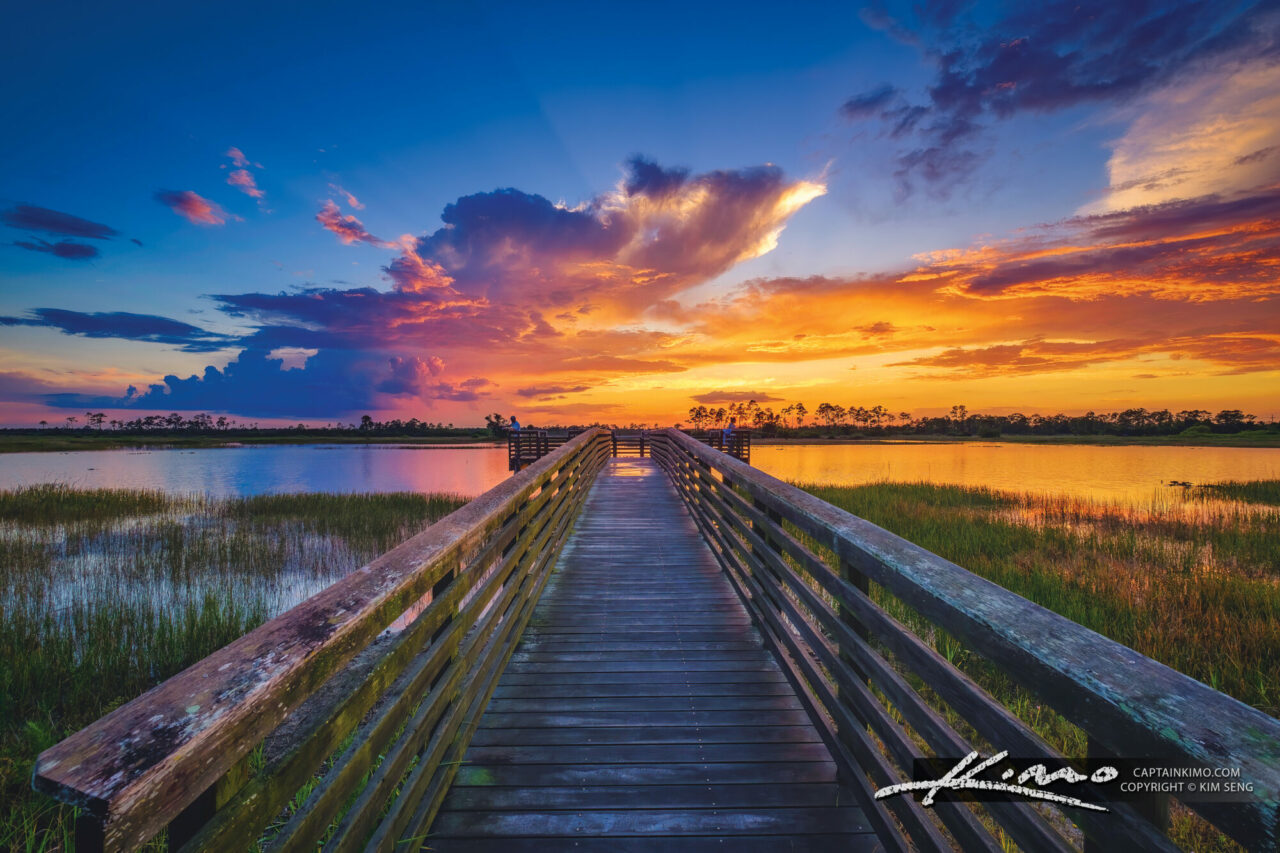 Tranquil Sunset at Pine Glades Natural Area Jupiter Farms Royal Stock