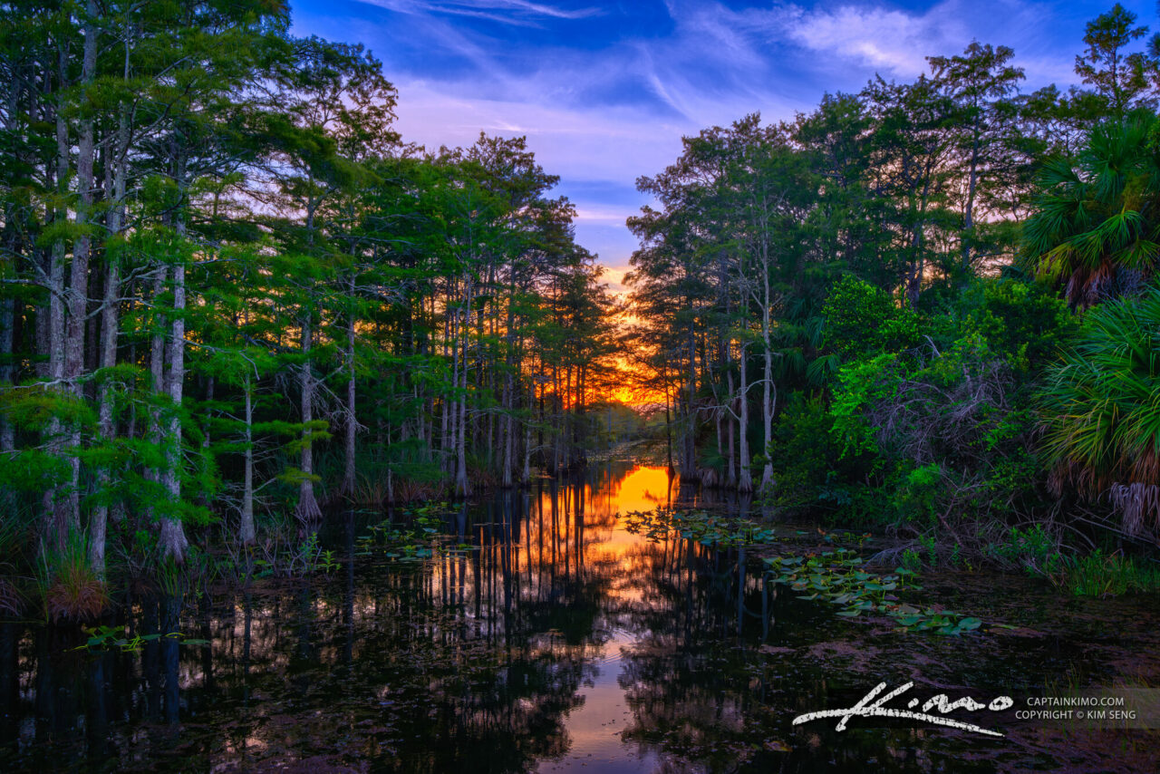 Sandhill Crane Kayak Launch Sunset Palm Beach Gardens Royal Stock Photo