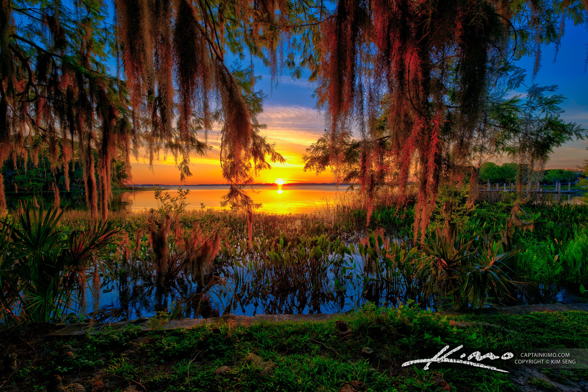 Magical Sunset at Lake Dora Florida - X001x Magical Sunset At Lake Dora Florida 