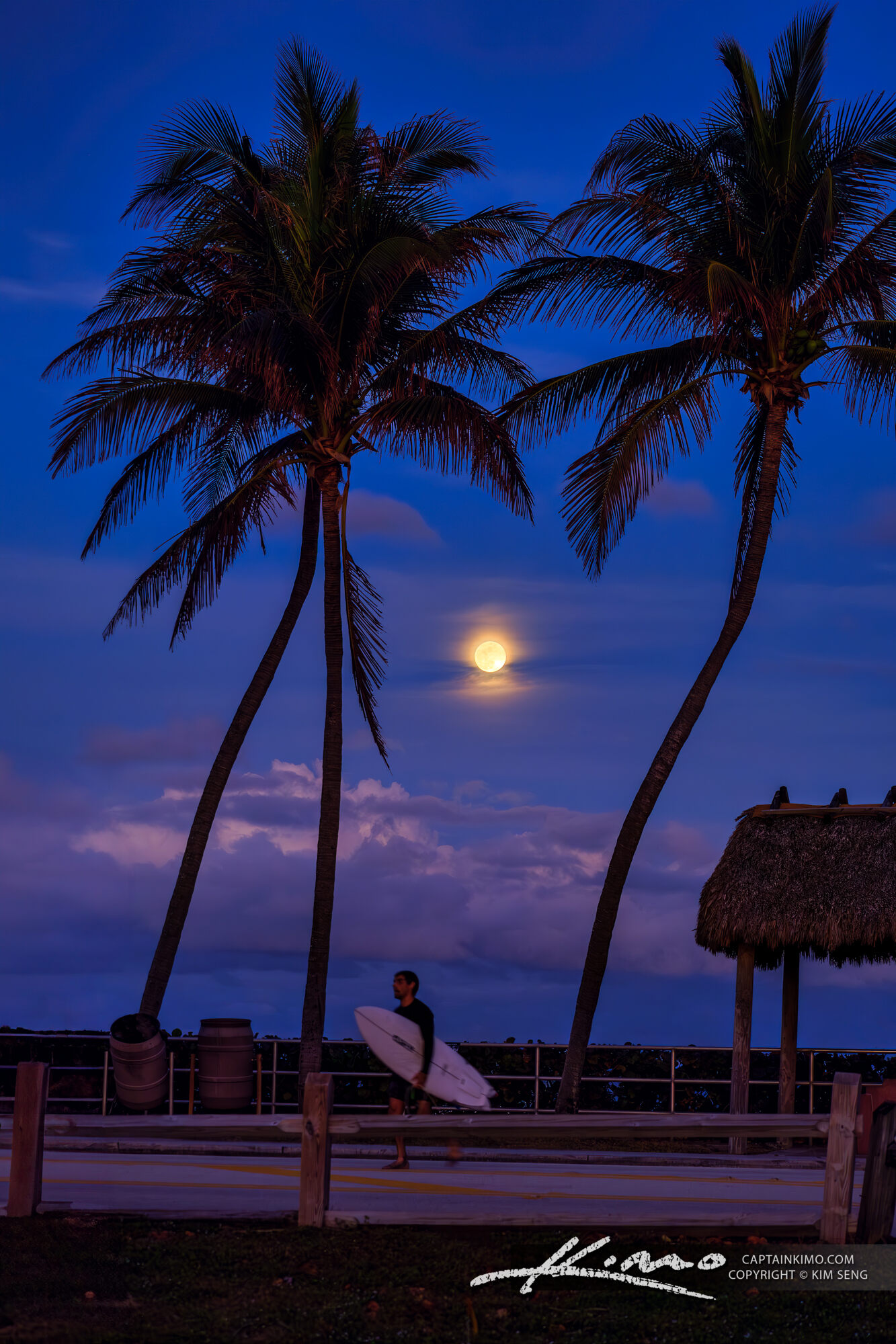 Moonlit Surfers Retreat at Juno Beach