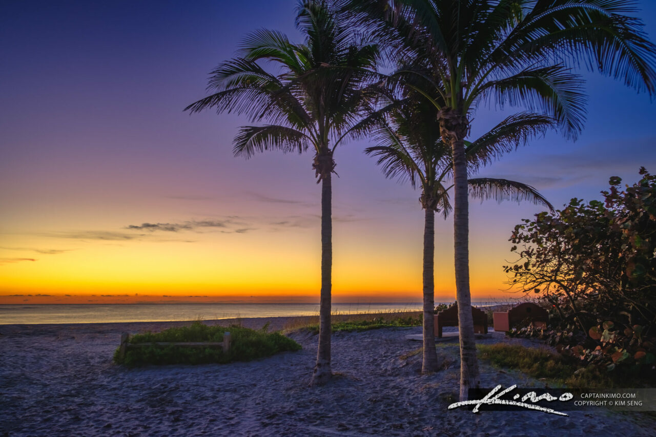 Jupiter Column Tree Coconut Tree Sunrise at Jupiter Inlet - Royal Stock Photo