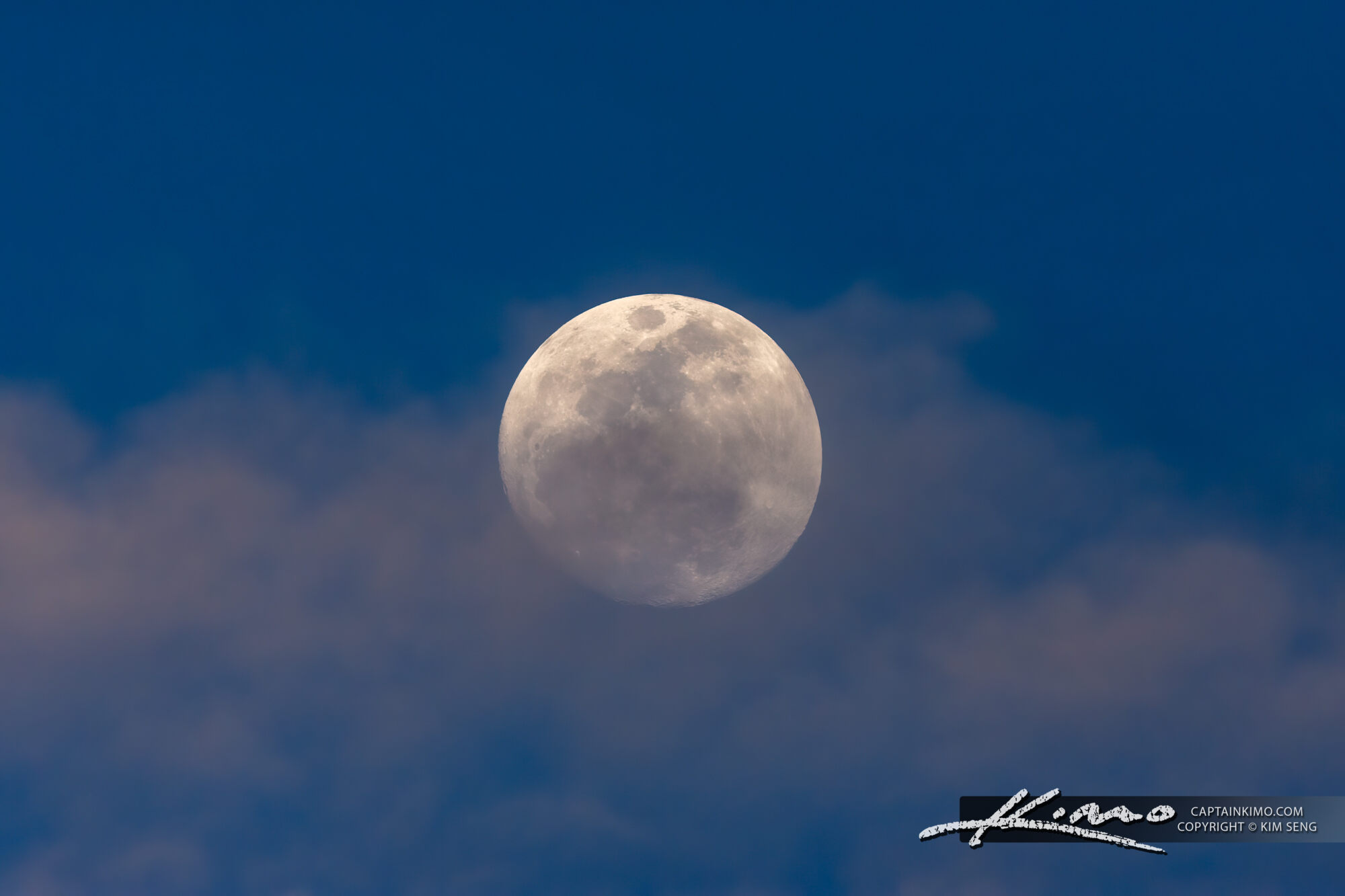 Lunar Ascendancy Over Palm Beach Gardens Sky