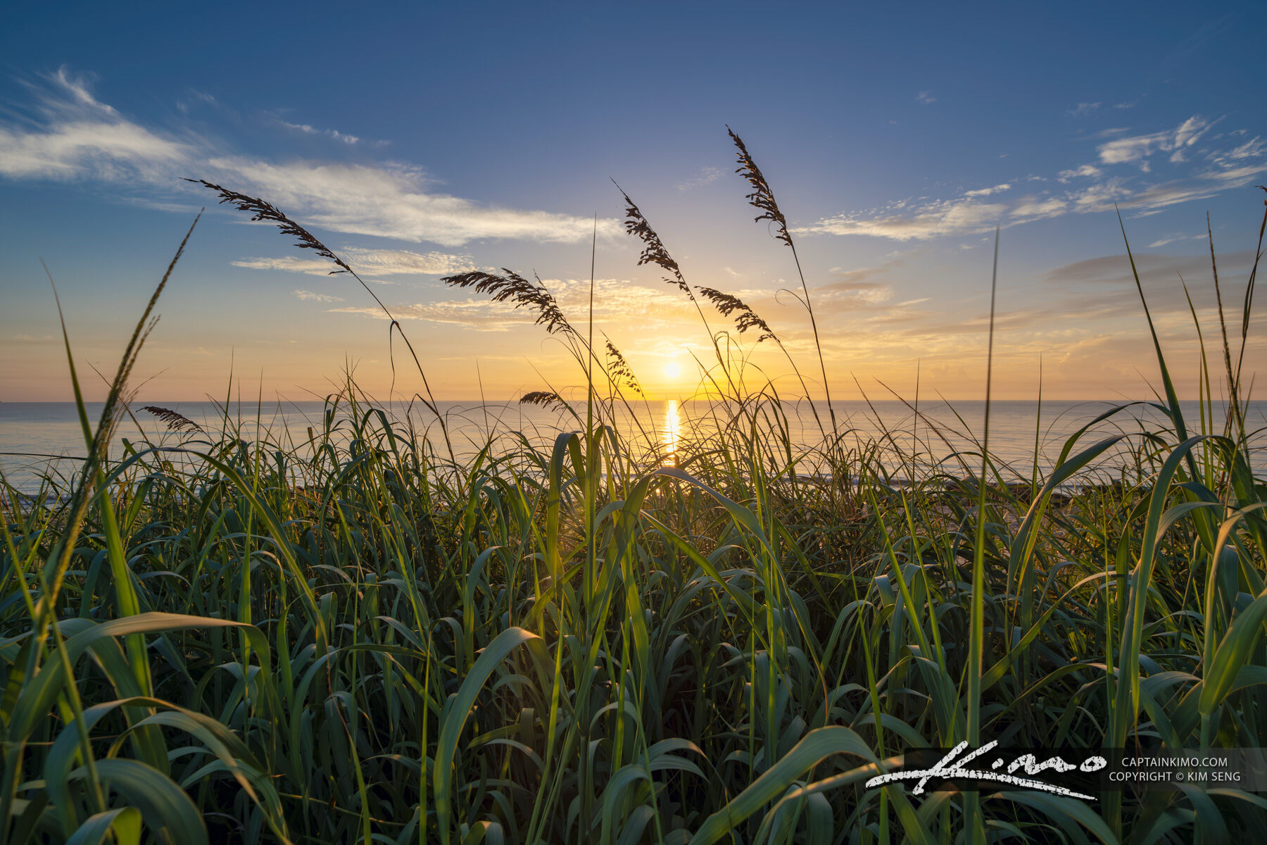 Coral Cove Sea Oats Sunrise from Jupiter Island