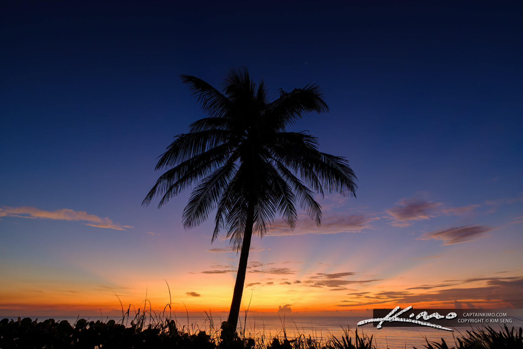 Coconut Tree Twilight Coral Cove Park Sunrise