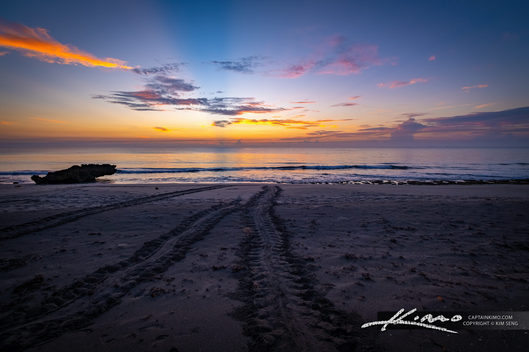 Sea Turtle Tracks Coral Cove Park Sunrise