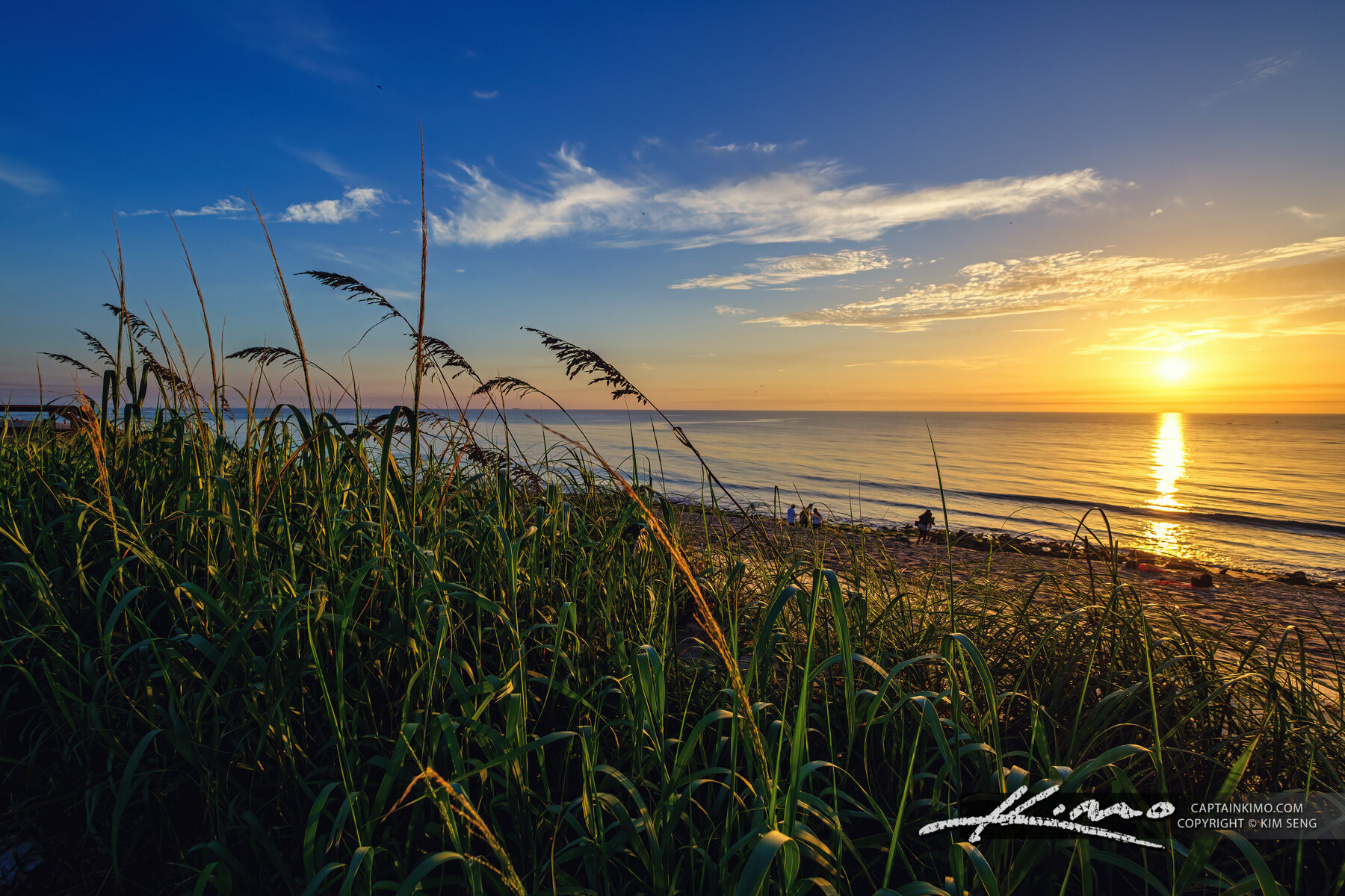 Sea Oats Coral Cove Park Sunrise