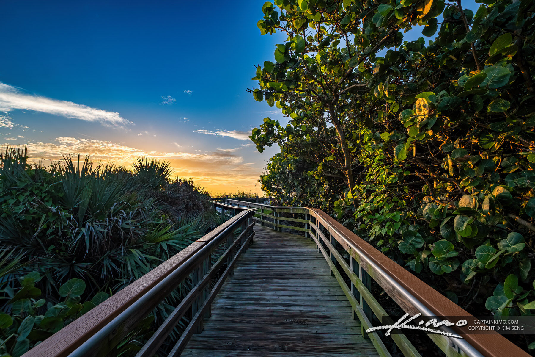 Boardwalk to Beach Coral Cove Park Sunrise
