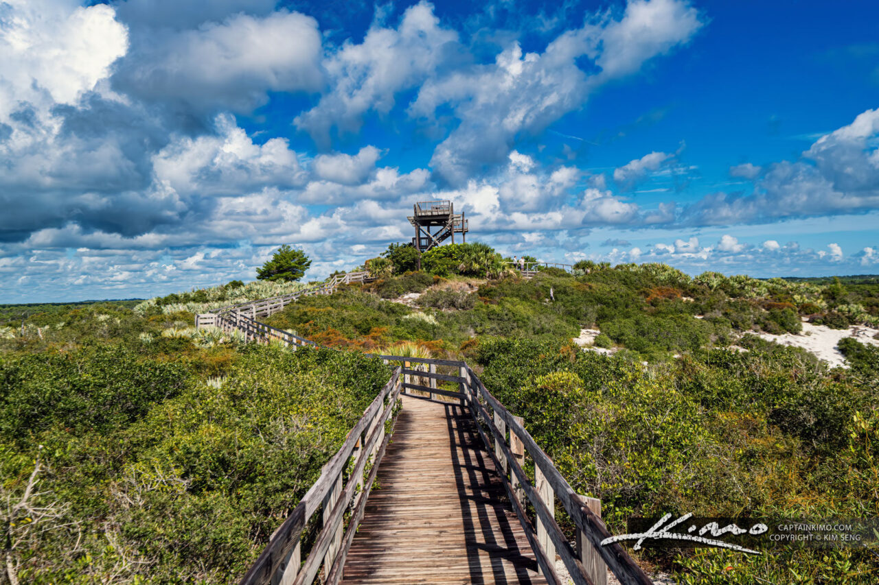 Jonathan Dickinson State Park Royal Stock Photo Jonathan Dickinson State Park Royal Stock Photo