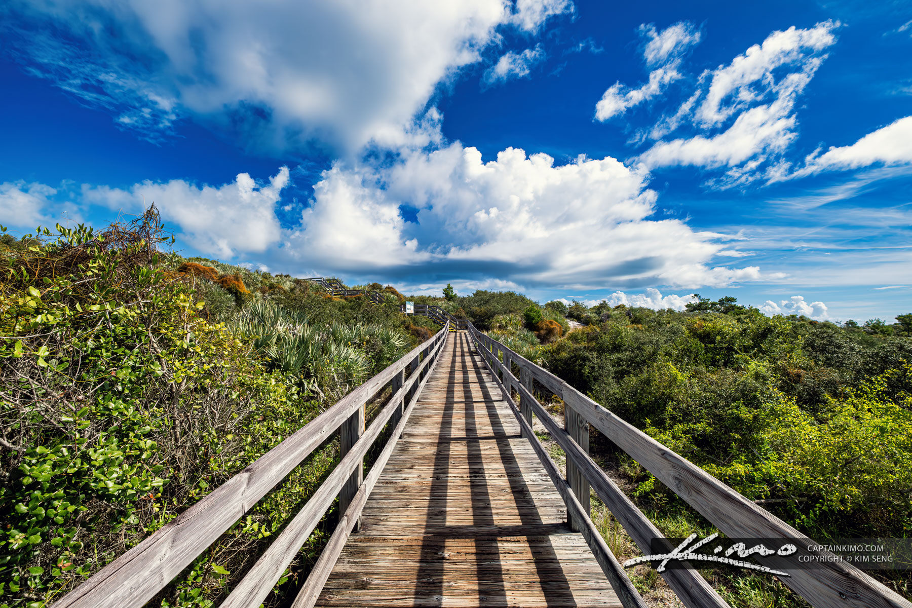 Boardwalk Jonathan Dickinson State Park Royal Stock Photo Boardwalk Jonathan Dickinson State Park Royal Stock Photo