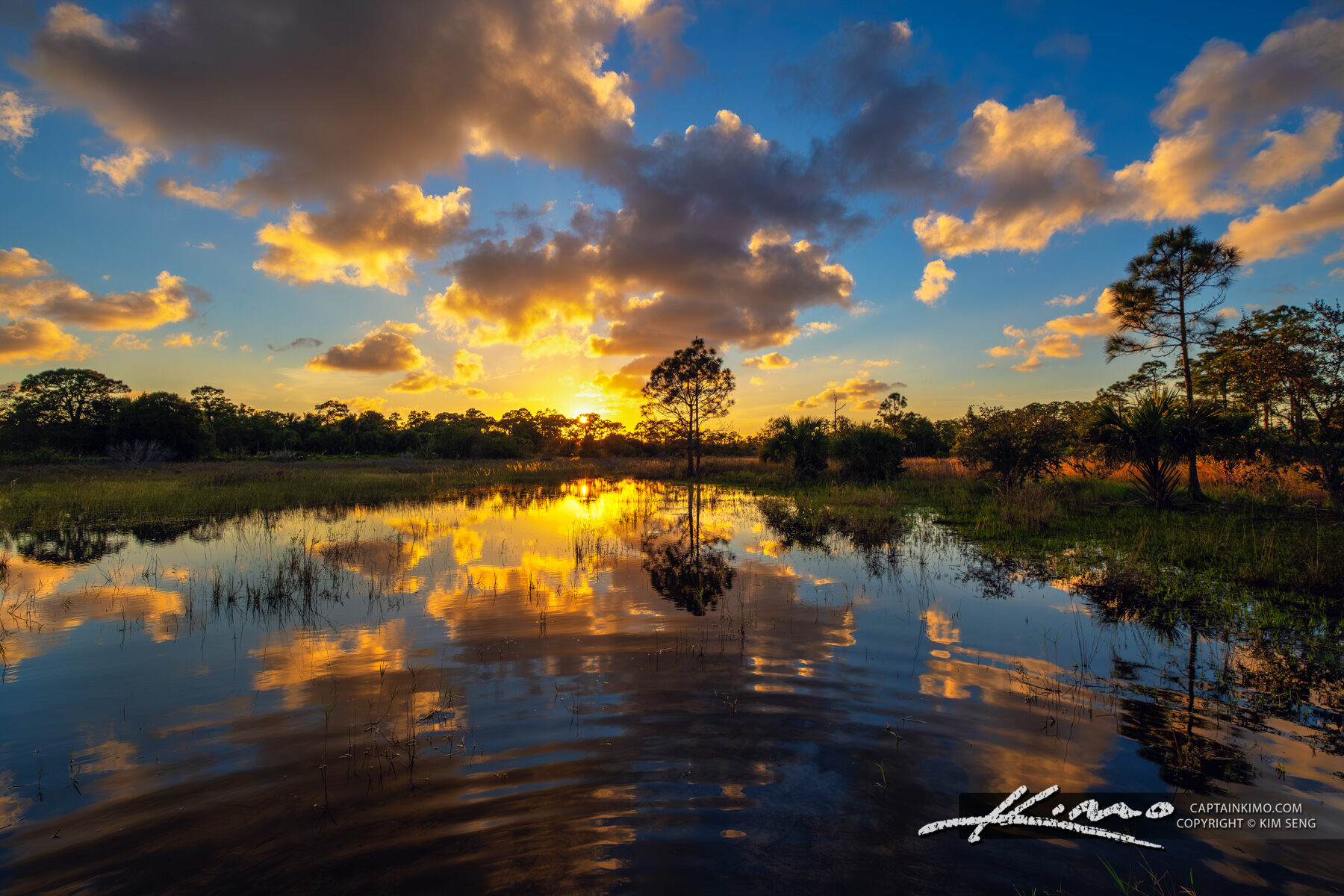 Crestwood Park Royal Palm Beach Pines Natural Area Sunset