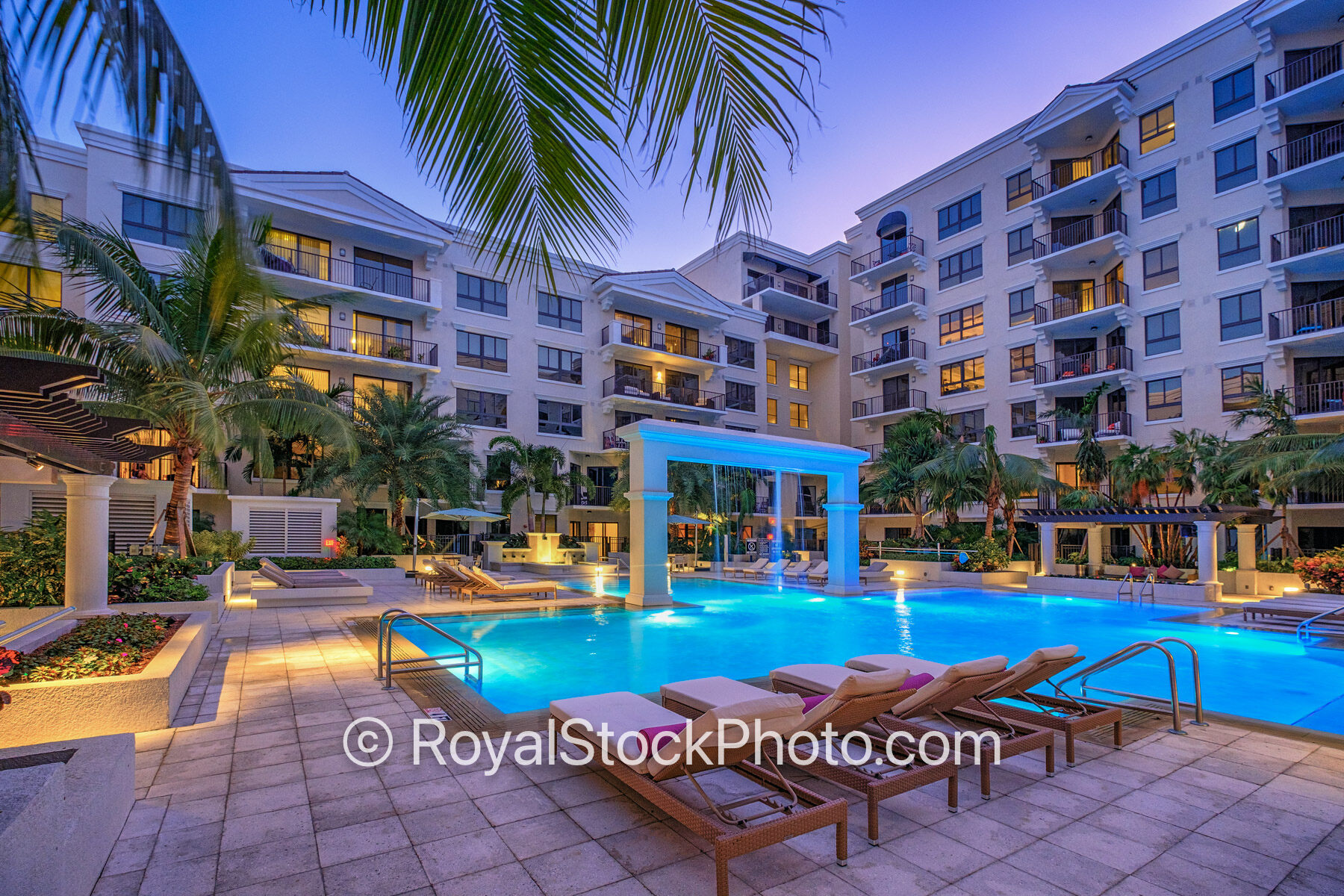 Pool Area Palm Resort Style Luxury Living