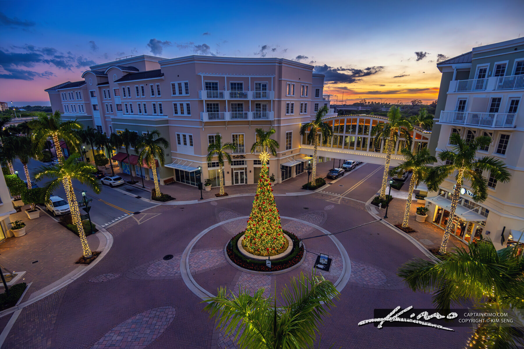 Christmas Tree View from Above Harbourside Place 2024 Christmas