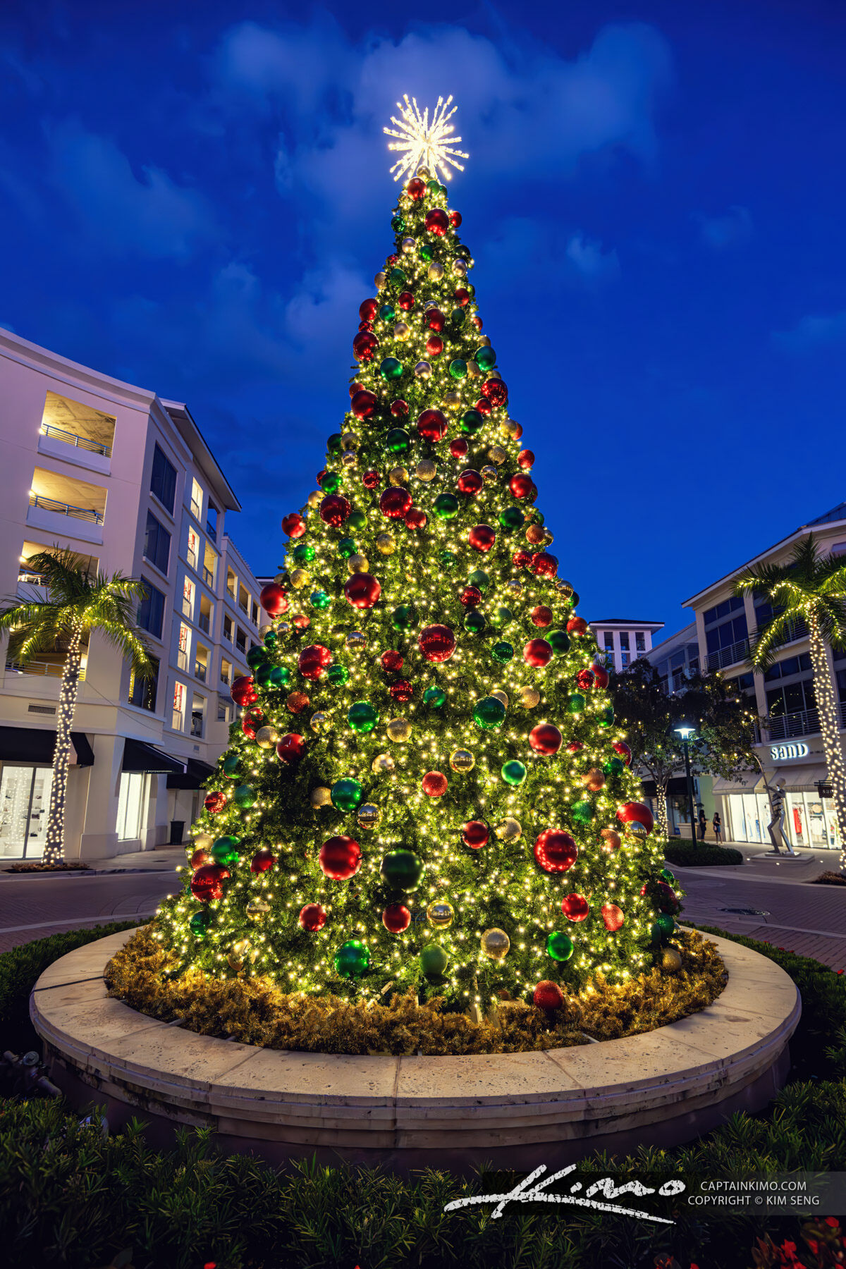 Christmas Tree Harbourside Place 2024 Christmas
