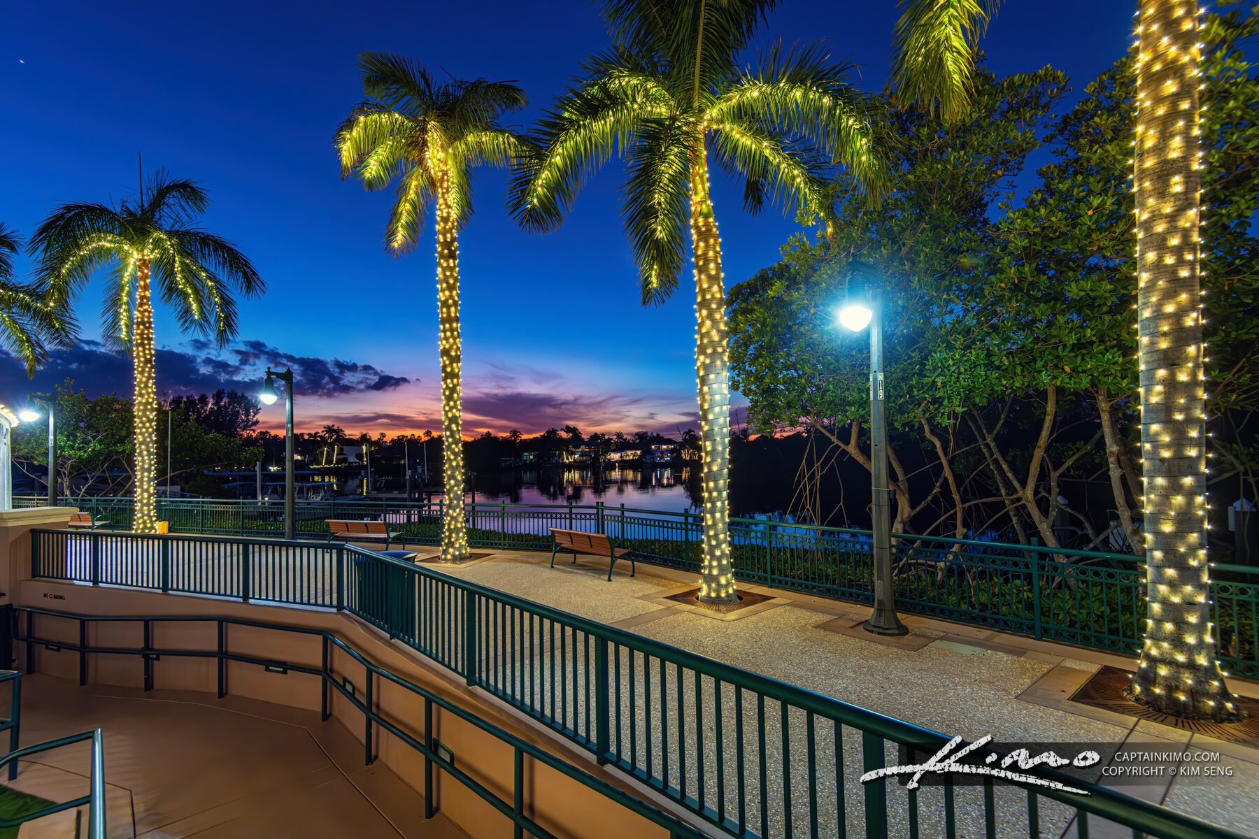 Palm Tree Lights Harbourside Place 2024 Christmas